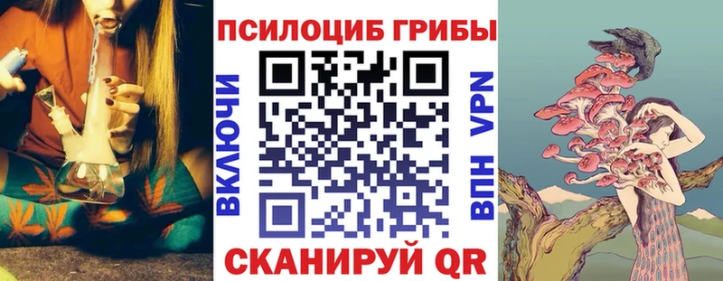 Галлюциногенные грибы мицелий  Шимановск 